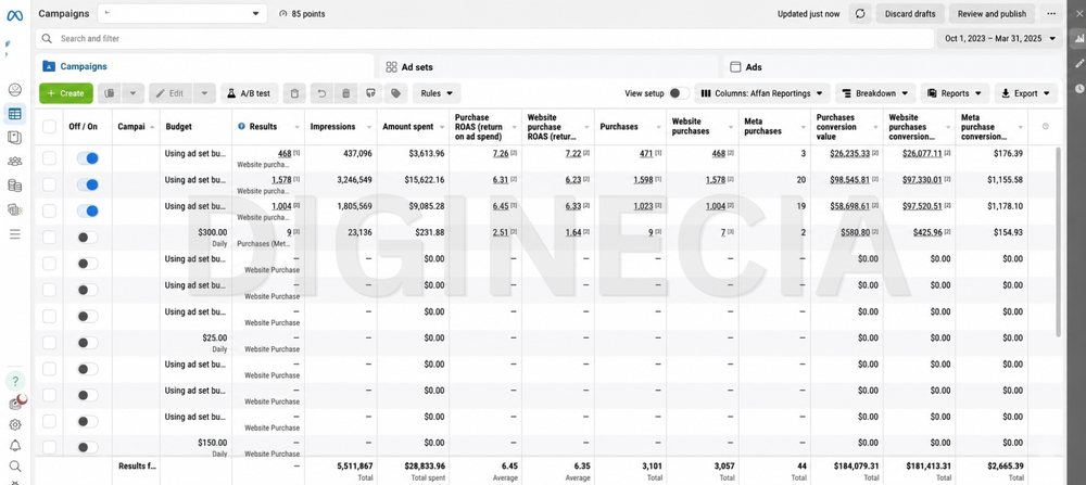 Ads Manager screenshot, meta account d