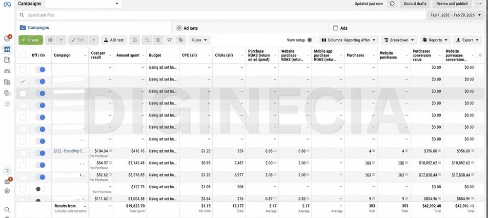 Ads Manager screenshot, meta account e